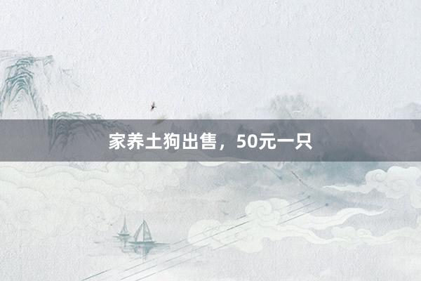 家养土狗出售，50元一只