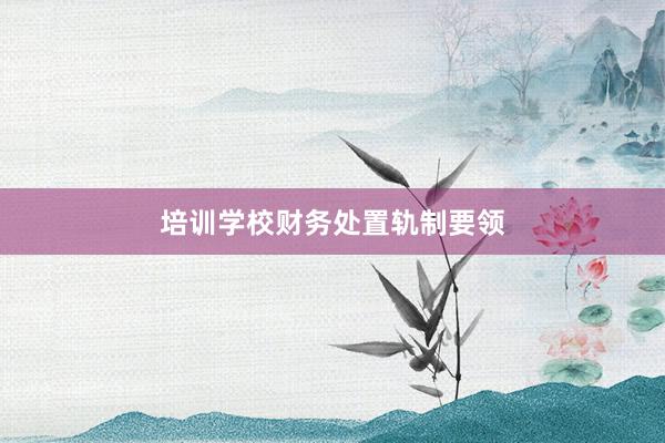 培训学校财务处置轨制要领